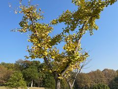 -钟山体育运动公园