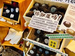 -天津梅江会展中心