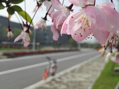 -无锡新湖铂尔曼大酒店