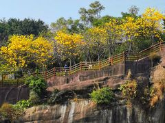 -广州莲花山旅游区