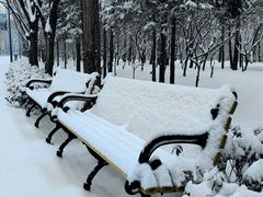 -森林公园(尖草坪区)