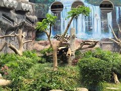 -石排湾郊野公园