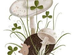 -甲乙果 美术书法(通州校区)