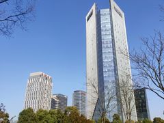 -金沙湖公园