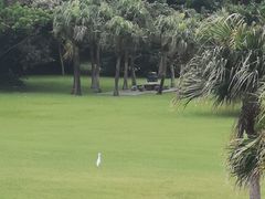 -鹅銮鼻公园
