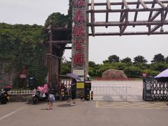 -塘沽森林公园