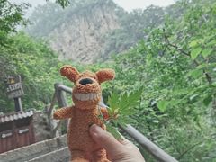 -云台山风景名胜区