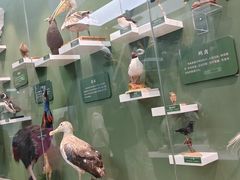 -国家自然博物馆