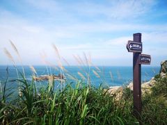 -东极岛景区