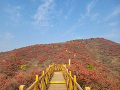 -水峪民俗村