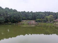 -铁山坪森林公园