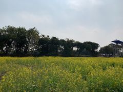 -长洲岛都市农业公园