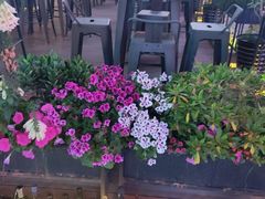 -绿地风尚天地广场