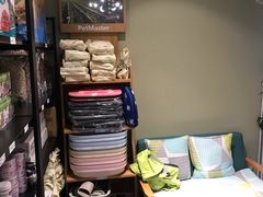 -东方名猫馆·英短金渐层布偶猫舍(环线广场1号楼店)