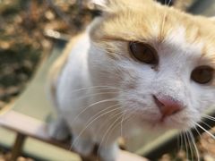 -TIPPI营地 房车主题·露营烧烤团建轰趴(天安假日店)