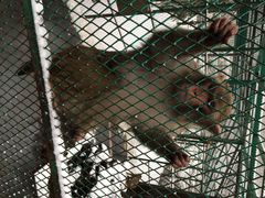 藏龙百瀑-藏龙百瀑风景区