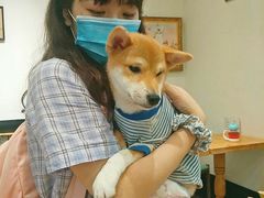 -猫色咖啡·猫咖