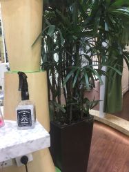 -艺米阳光Hair Salon