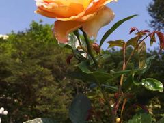 -人民公园(罗湖区)