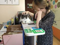 -猫音日语留学培训