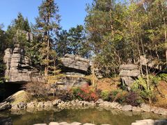 -梭布垭石林景区