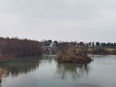 -瑶湖郊野森林公园