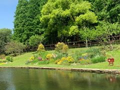 -上海共青森林公园