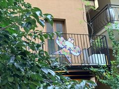 -嘉善老市