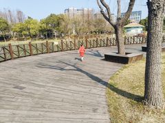 -自然谷恐龙园
