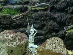 -长沙海底世界