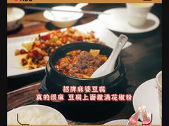 -陈麻婆豆腐总店