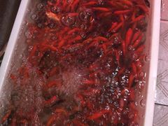 -万商花鸟市场