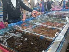 水产区-三亚新鸿港水果一级批发市场