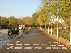 -东郊湿地公园