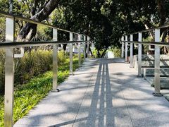 -四海公园(南山区)