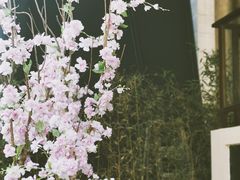 -秦皇岛路游船码头