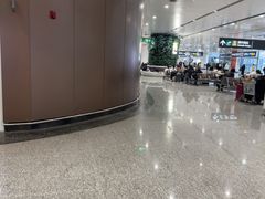 -麦当劳(北京大兴机场二层国内到达(安检外)店)