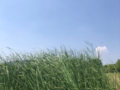 -钟山体育运动公园