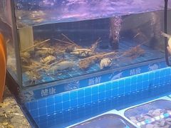 -银鲨海鲜烤肉火锅自助餐厅(五星店)