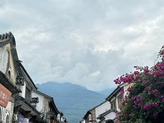 -尽善百年古院餐厅(王家老宅店)