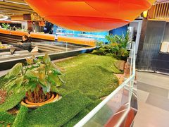 -星伦多自助料理·涮烤一体(虹悦城店)
