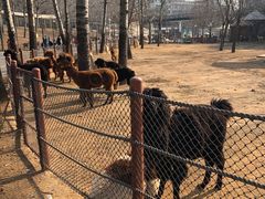 -大连森林动物园