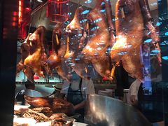 -陈鹏鹏潮汕菜(宝安机场T3航站楼店)