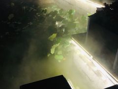 -湘湖金融镇