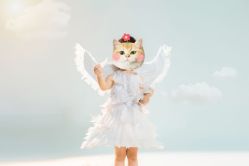 -小熊维尼高端儿童摄影(罗湖区总店)