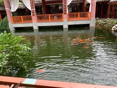 -香麒园·过桥米线·南湖雅宴