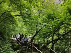 -青峰峡国家森林公园