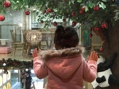 -藦茜花园宠物主题亲子互动体验馆(国顺东路店)