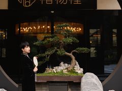 -椿杨樘·明康泡浴养生馆(重庆店)