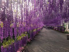 -晶宝温泉农庄
